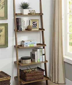 Rustic Ladder Shelf